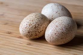 Organic Eggs